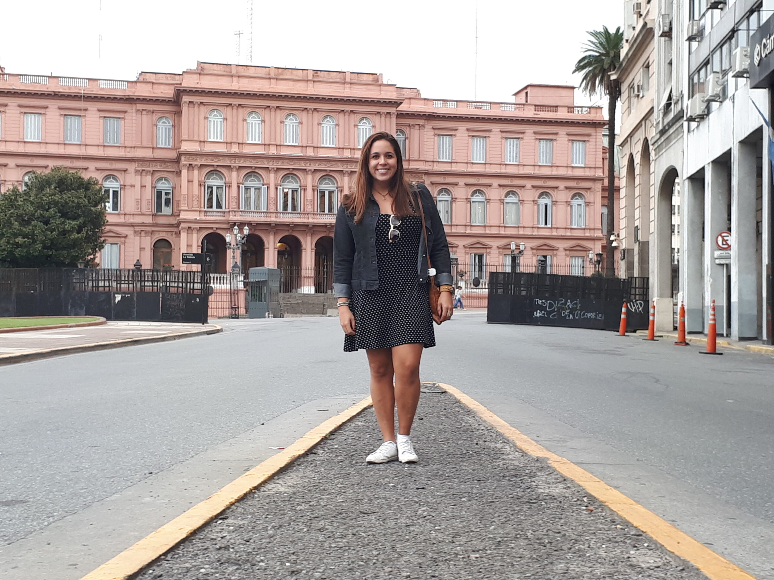 Vista Casa Rosada